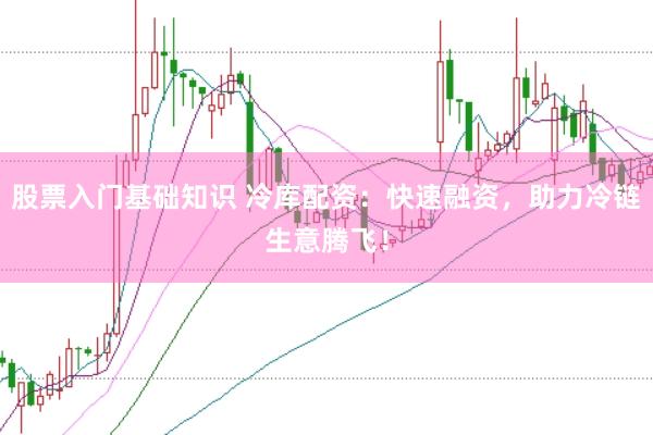 股票入门基础知识 冷库配资：快速融资，助力冷链生意腾飞！