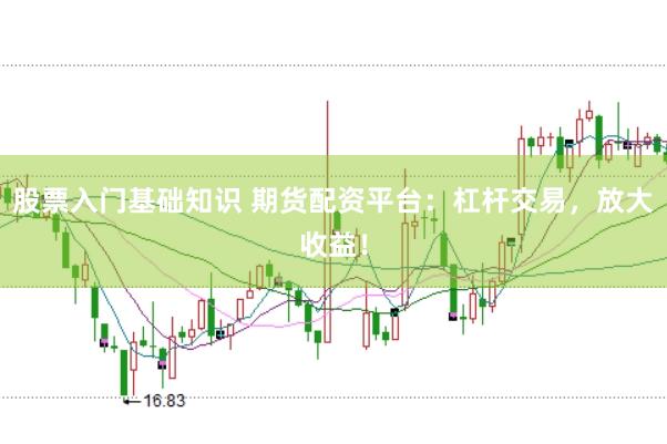 股票入门基础知识 期货配资平台：杠杆交易，放大收益！