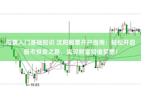 股票入门基础知识 沈阳股票开户指南：轻松开启股市投资之路，实现财富增值梦想！