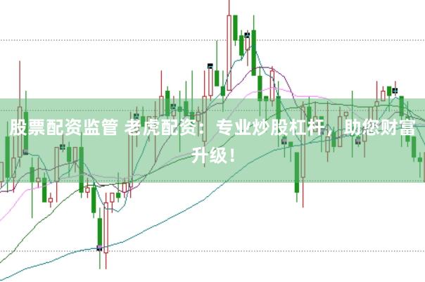 股票配资监管 老虎配资：专业炒股杠杆，助您财富升级！