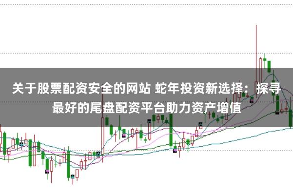 关于股票配资安全的网站 蛇年投资新选择：探寻最好的尾盘配资平台助力资产增值