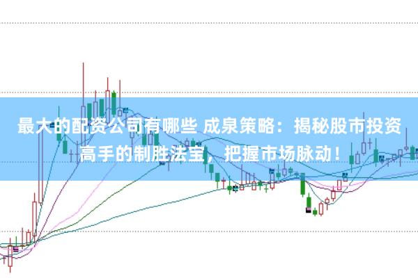 最大的配资公司有哪些 成泉策略：揭秘股市投资高手的制胜法宝，把握市场脉动！
