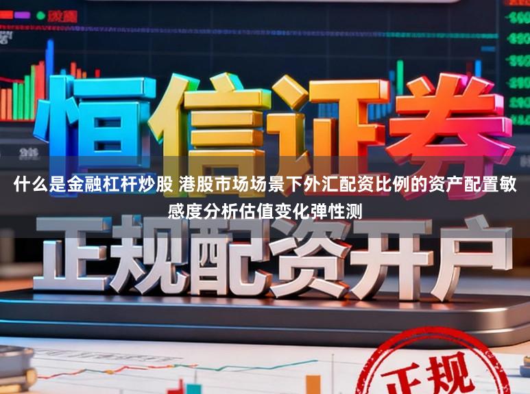什么是金融杠杆炒股 港股市场场景下外汇配资比例的资产配置敏感度分析估值变化弹性测