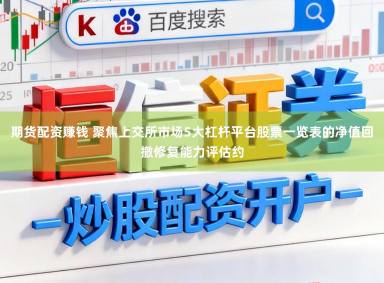 期货配资赚钱 聚焦上交所市场5大杠杆平台股票一览表的净值回撤修复能力评估约