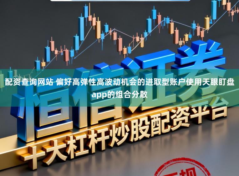 配资查询网站 偏好高弹性高波动机会的进取型账户使用天眼盯盘app的组合分散